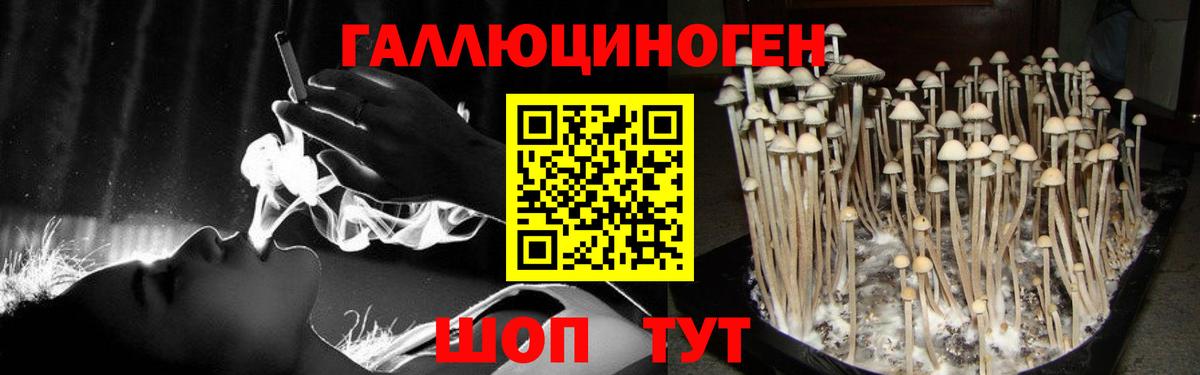 купить закладку  Вход с VPN  Усинск  Галлюциногенные грибы GOLDEN TEACHER 